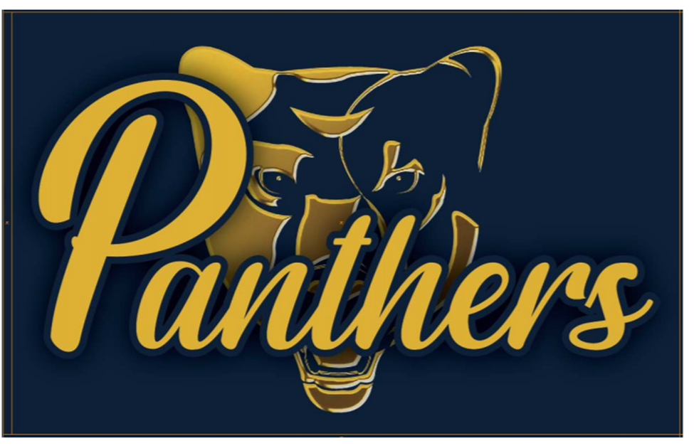 Panther yellow and blue