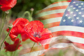 Poppy & American Flag