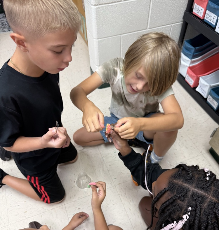 4th grade teamwork and problem solving