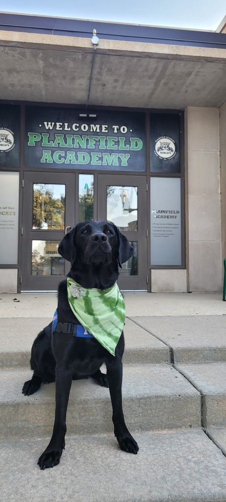 facility dog nova poses in front of Plainfield Academy