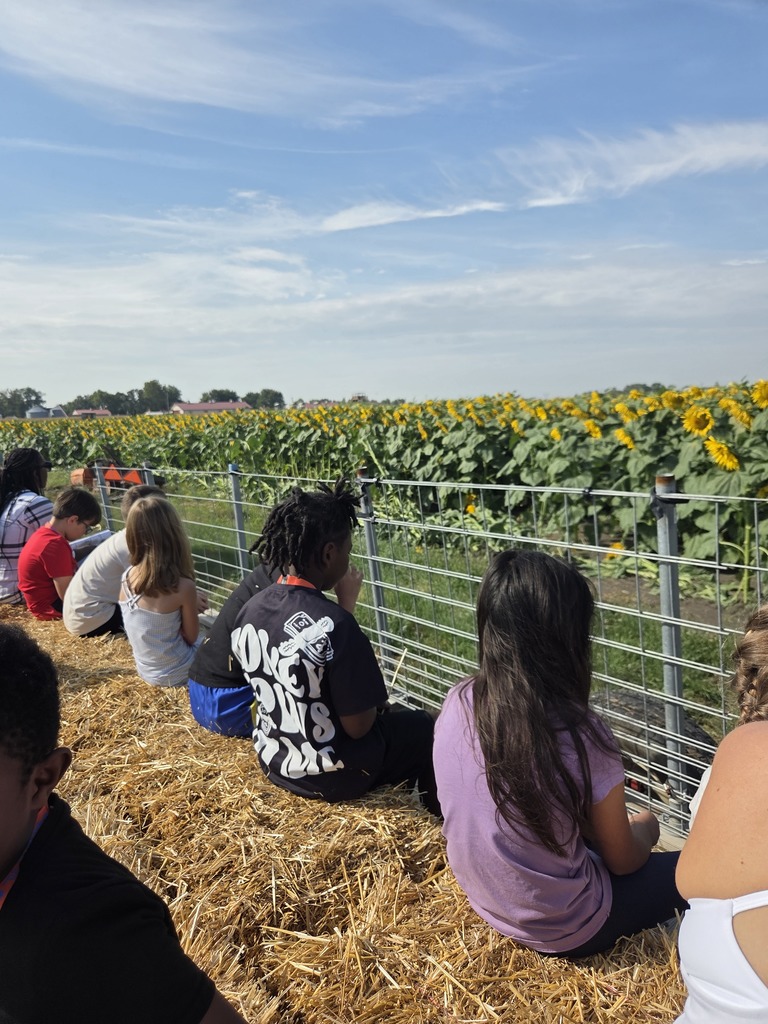 A group of students sitting on hay bales in a wagon riding past a field of sunflowers. 