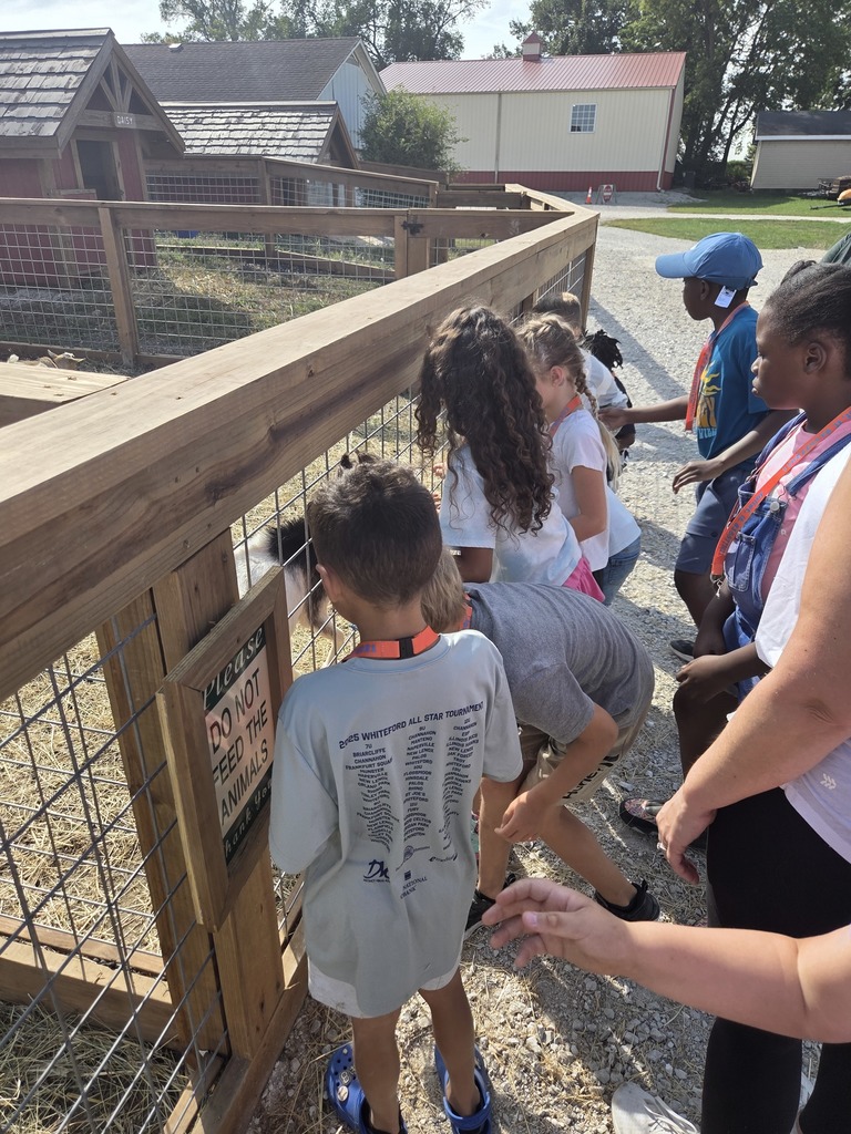 A small group of students looking in an animal pen.