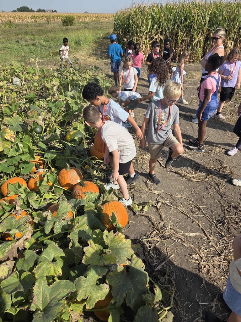 Students choosing pumpkins from a pumpkin patch.