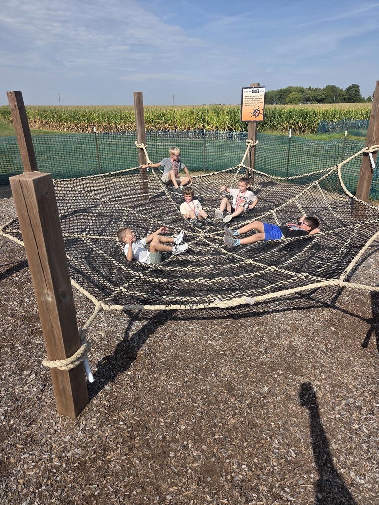 Four students playing on a spiderweb rope climbing. 