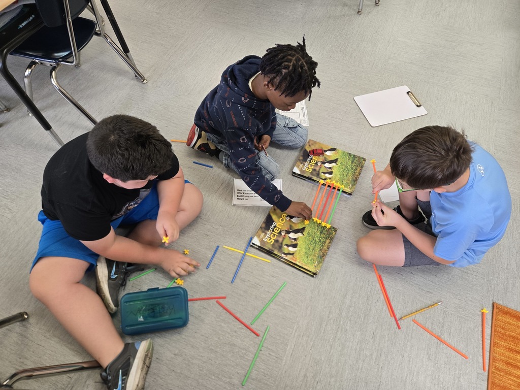 Wons 3rd Grade Class build bridges