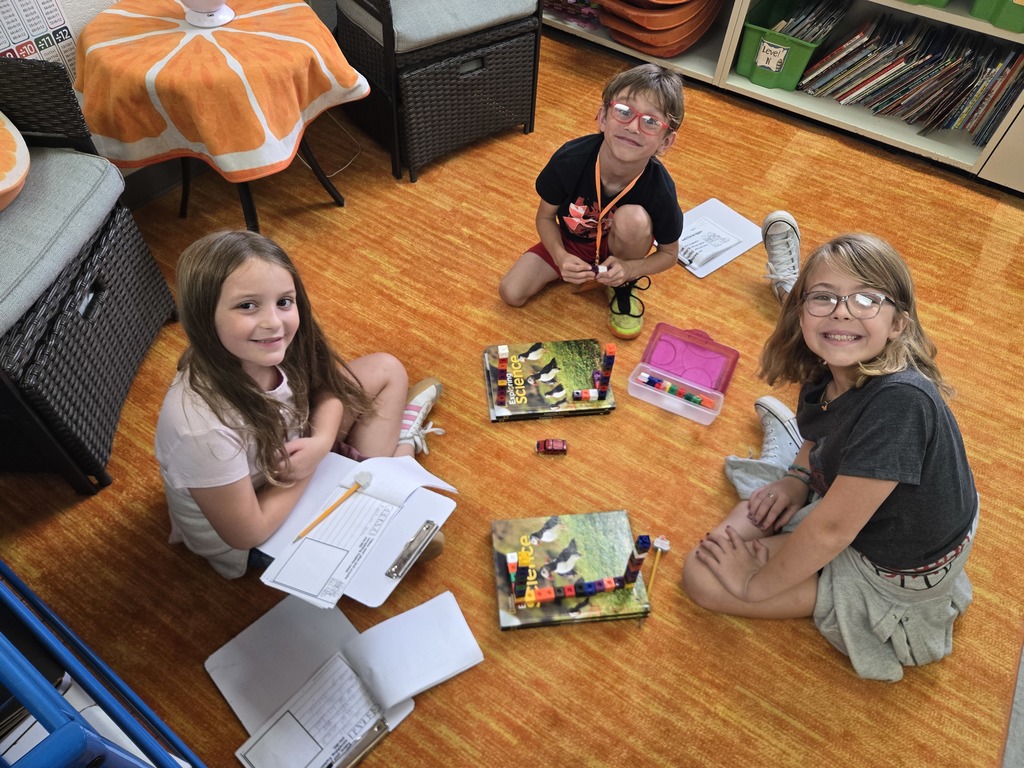 Wons 3rd Grade Class build bridges