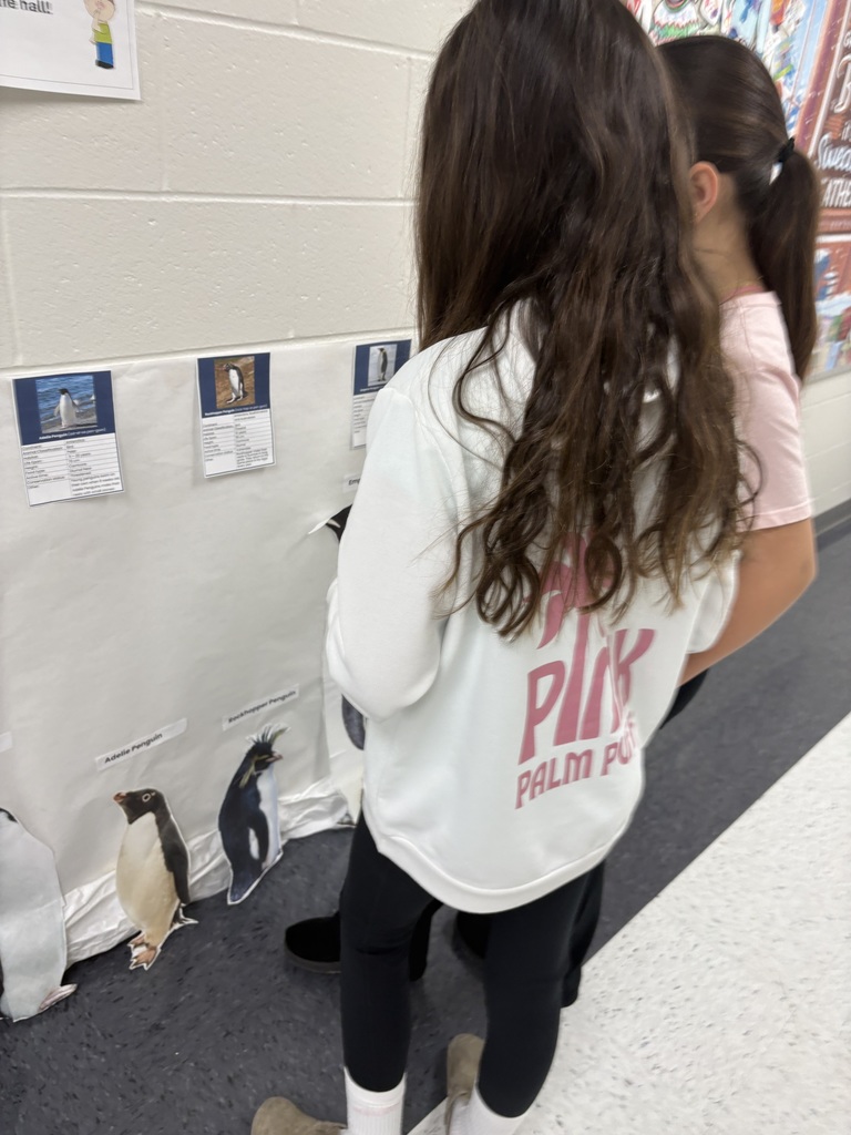 Students looking at penguin pictures in a school hallway. 