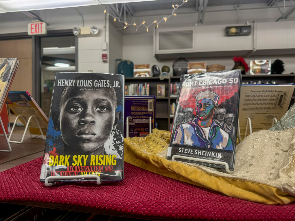 two books on top of  a shelf titled Dark Sky Rising by Henry Louis Gates and Port Chicago 50 by Steve Sheinkin