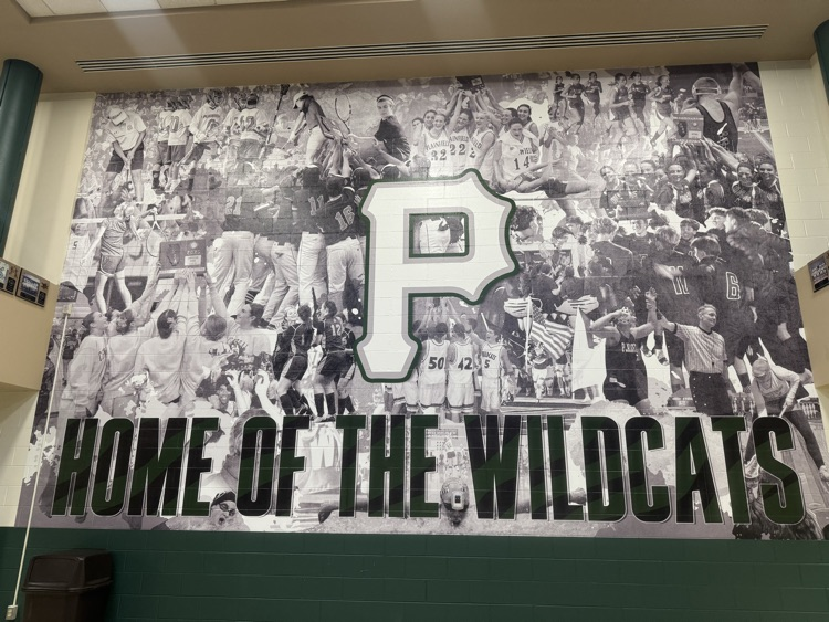 large photo mural on wall showing a variety of sport 