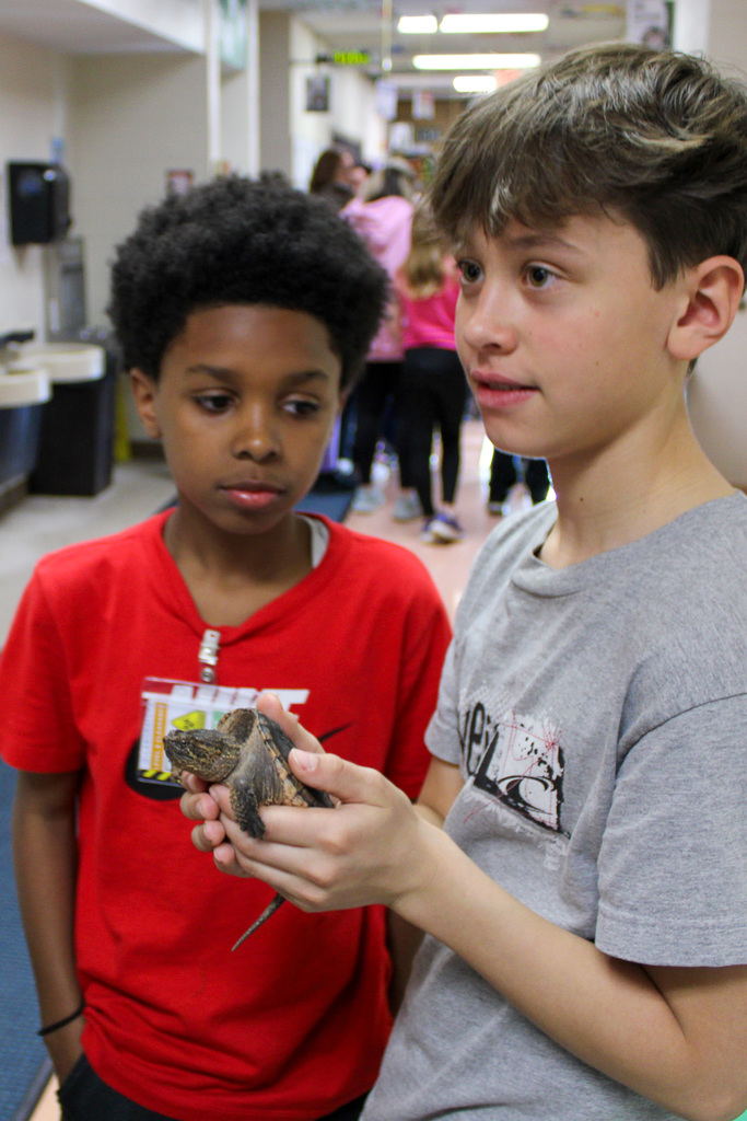 Boy holds turtle while other boy stand next to him