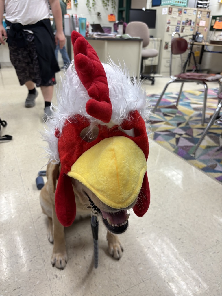 PHSCC facility dog Mooch wears a chicken hat