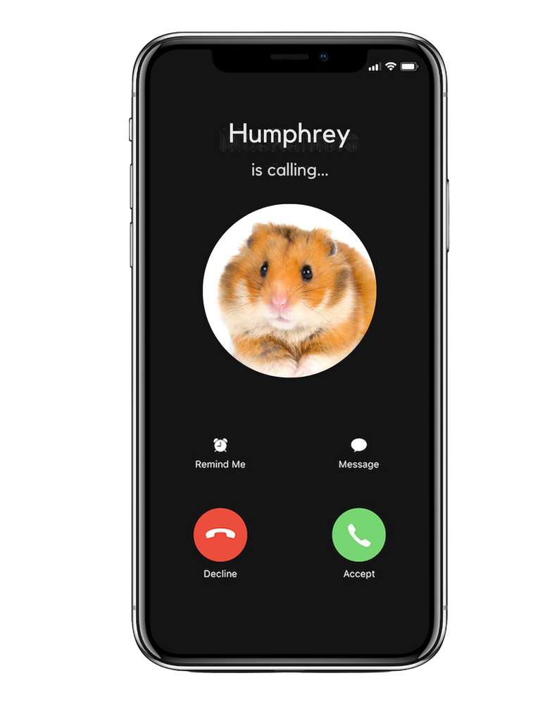 Picture of a phone with a hamster calling