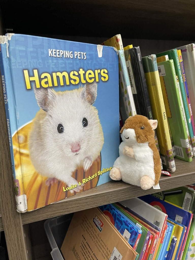 A small stuffed hamster on a bookshelf next to a hamster book