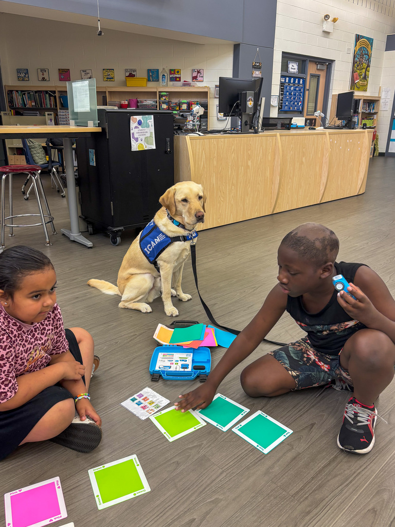 two students work with green, yellow and pink cards on floor with Tater Tot dog standing in background