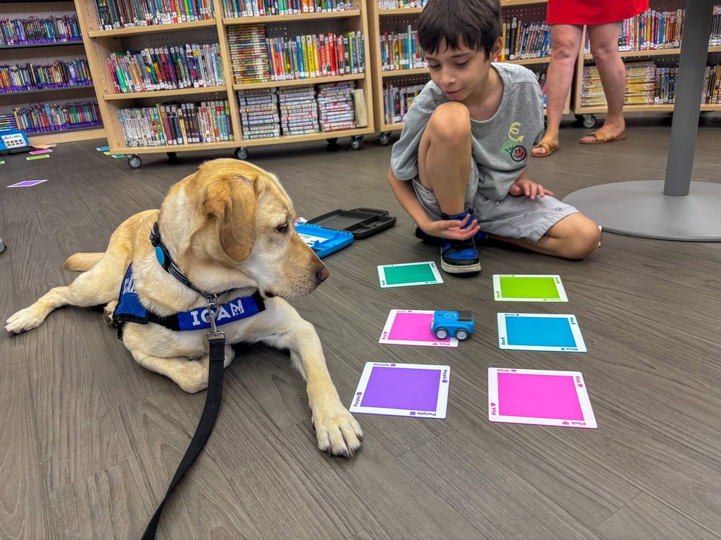 Facility Dog Tater Tot lays next to a student woking with cards in purple, pink, blue, green and yellow