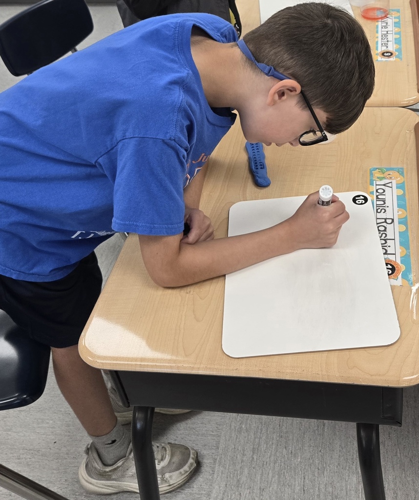 Wons Class Learning Arrays