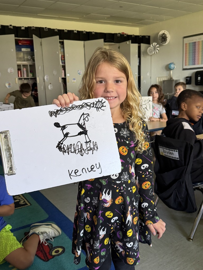 A student shows a goat, drawing on a dry erase board.