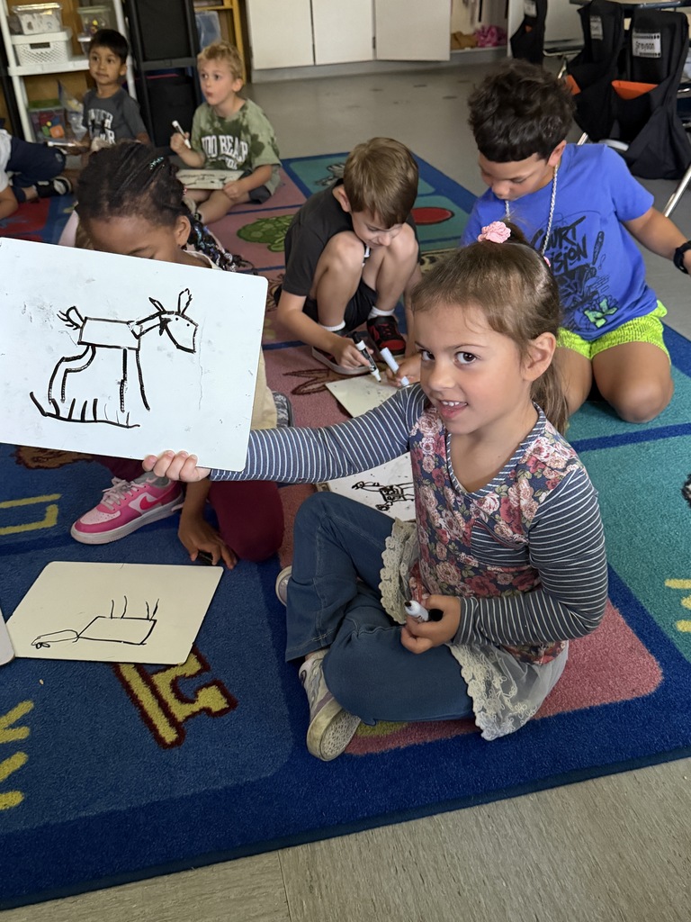 A student shows a goat, drawing on a dry erase board.