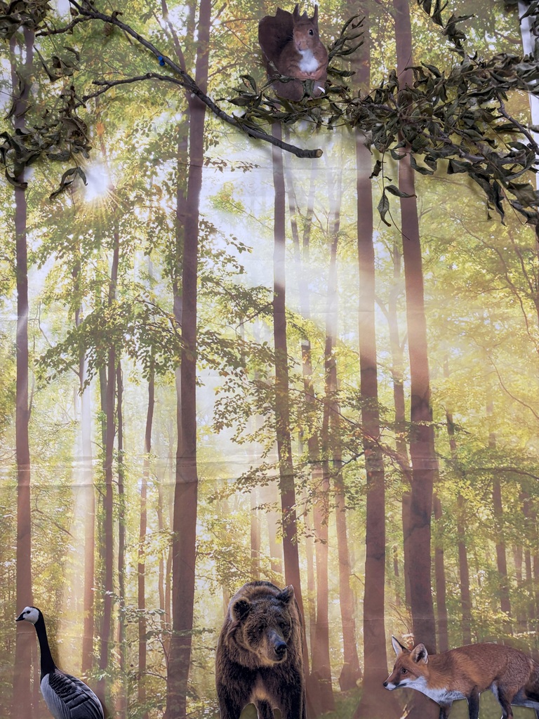 A forest backdrop hanging in a hall with paper cut out animals.