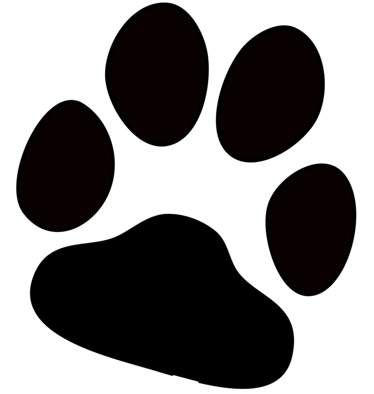 cougar paw