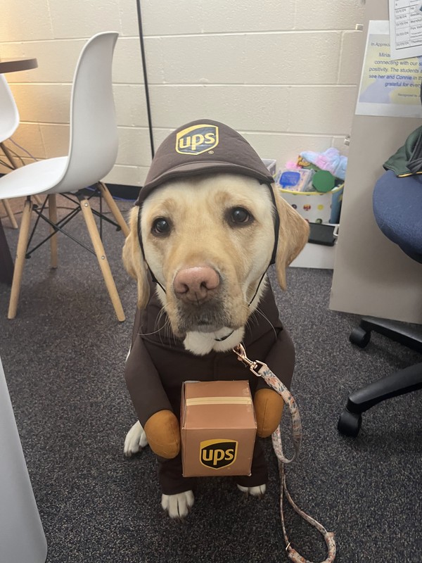 Service Dog in costume