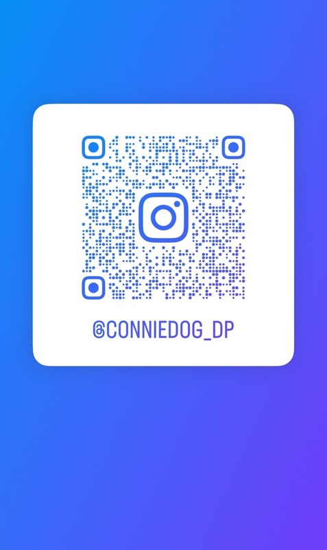 Service Dog Instagram