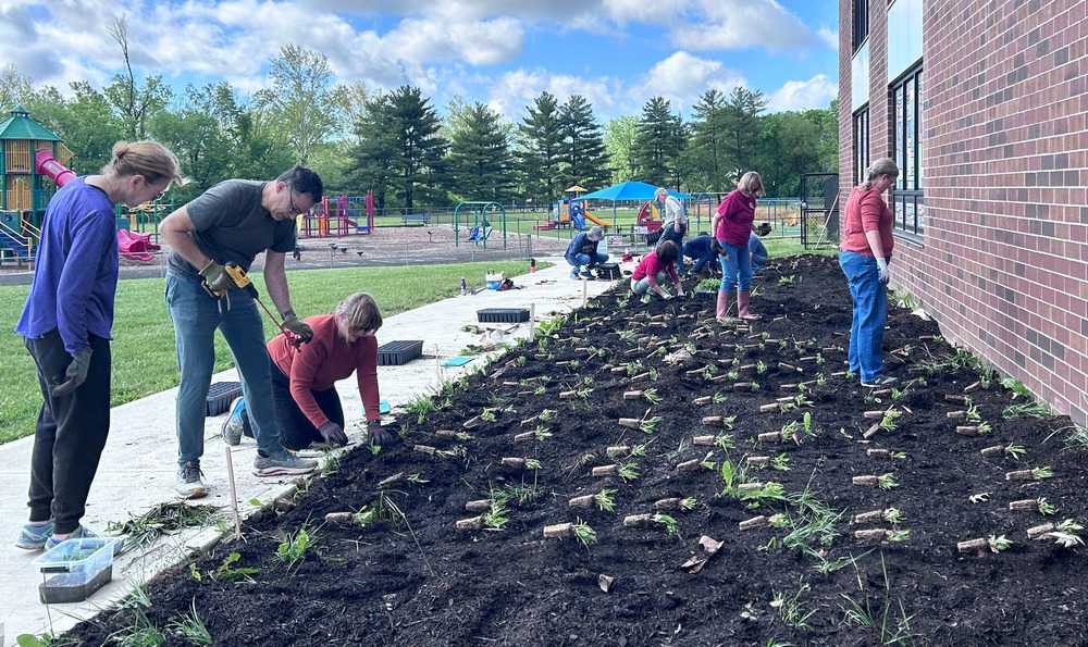 laying out plants