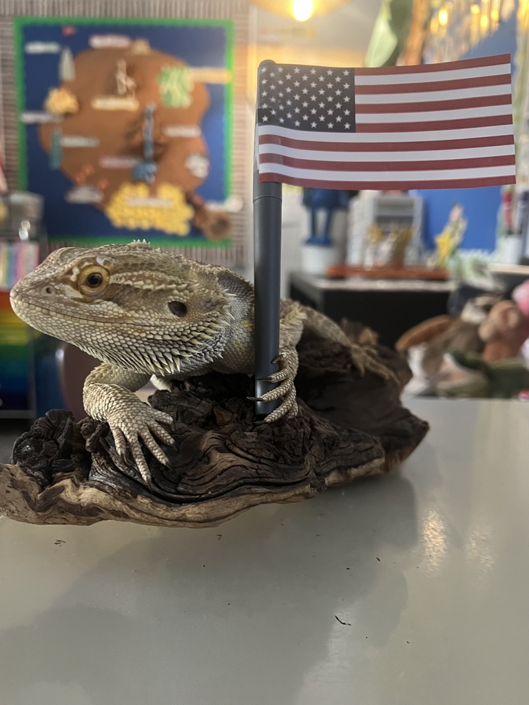 High Five for Heroes