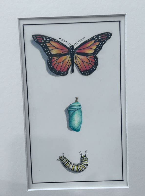 Dr. D's art