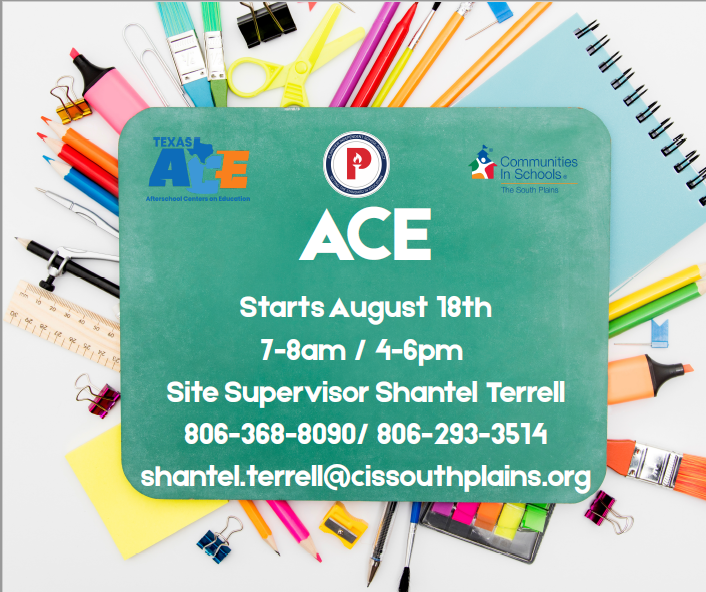 Welcome Back to ACE