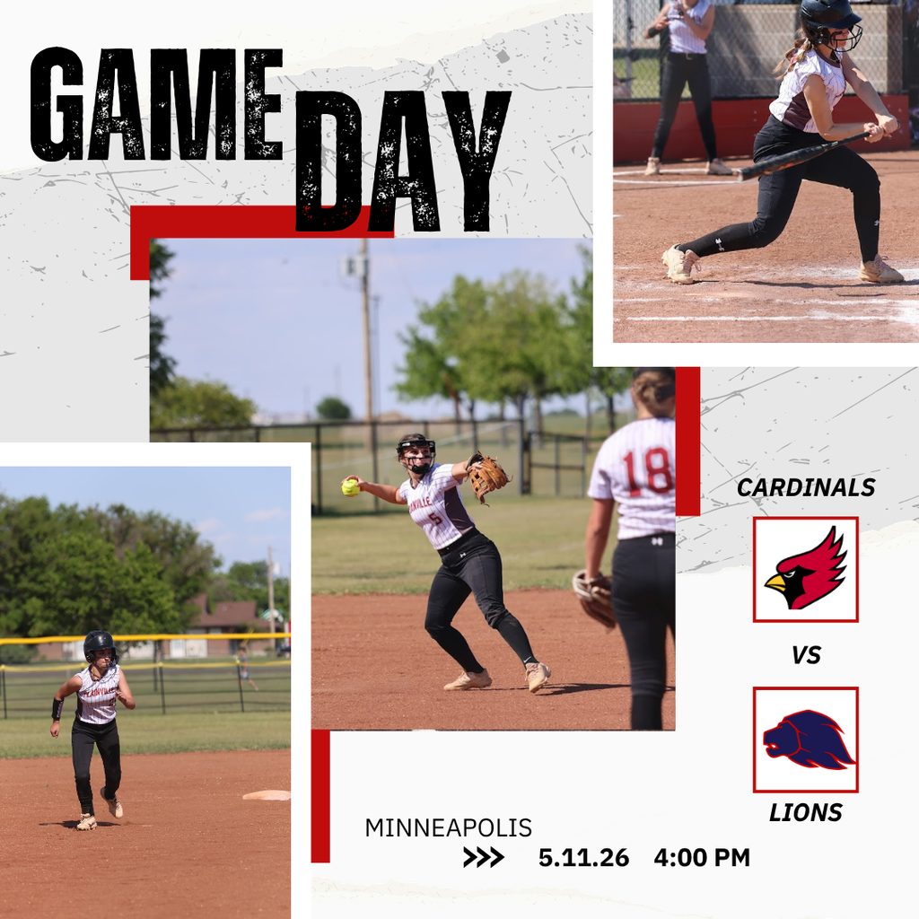 Softball  at Minneapolis