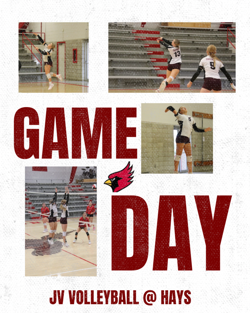JV VB at Hays
