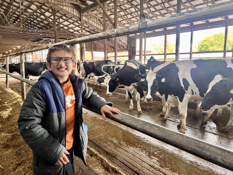 picture of student with cows on a field trip