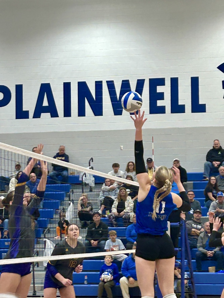 picture of  volleyball player during a game 