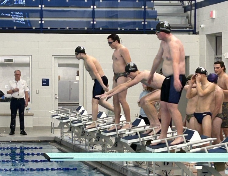picture of swimmers getting ready to begin a race 