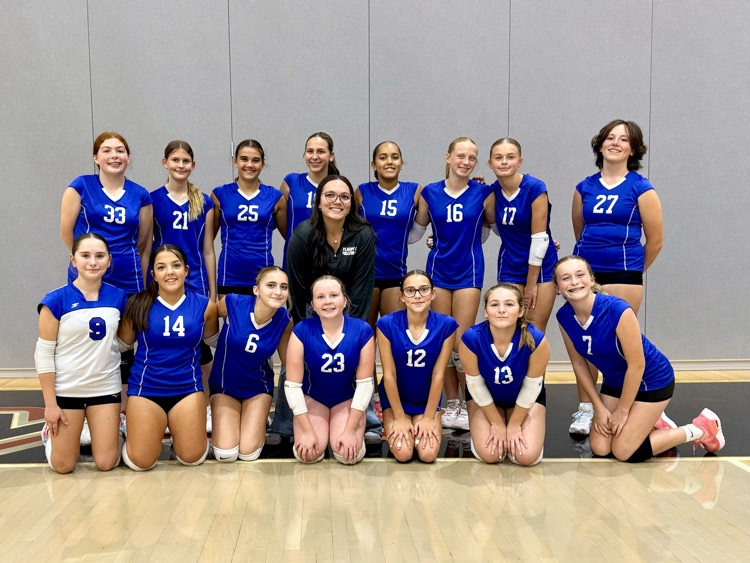 group picture of 8th grade volleyball team