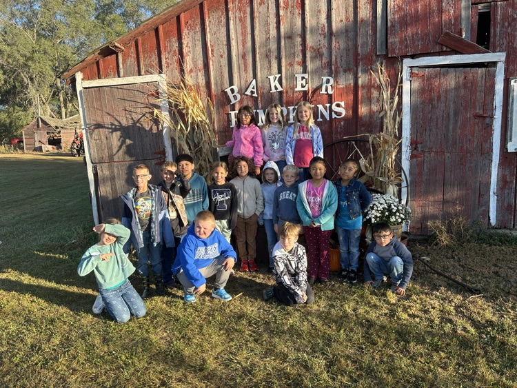 pumpkin patch