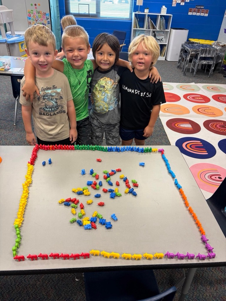 counting bears