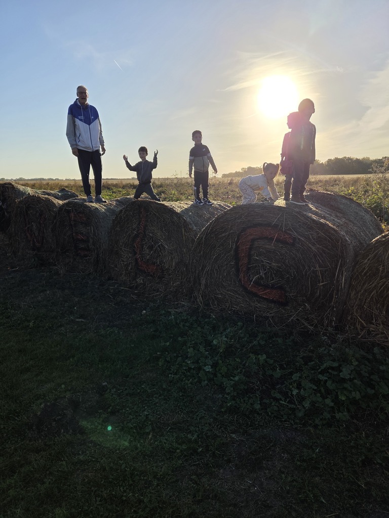 bales
