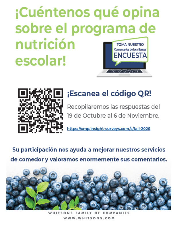 Survey Program Flyer Spanish