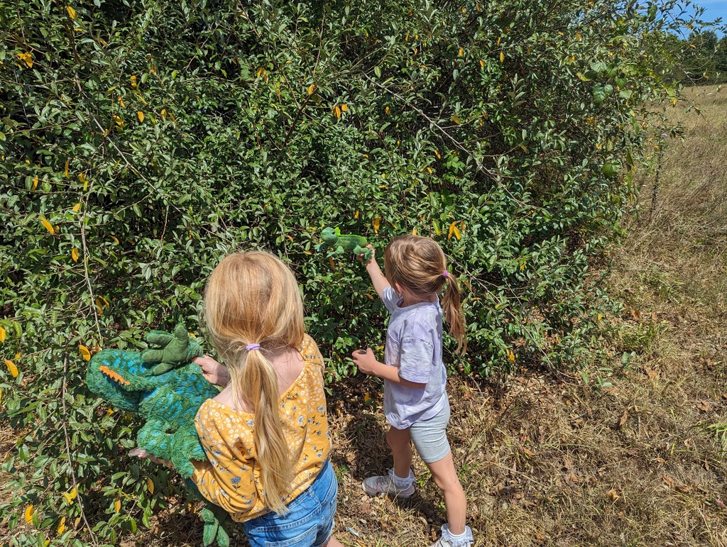 Miss Amy's kindergarten class is on letter Ii in ABC bootcamp. We went on an INVESTIGATION with our scientific tools (aka magnifying glasses 🔍🔍) to discover INSECTS 🦗🦗 and other INTERESTING items on the trail. Did you know we have IGUANAS 🦎🦎 nearby?!