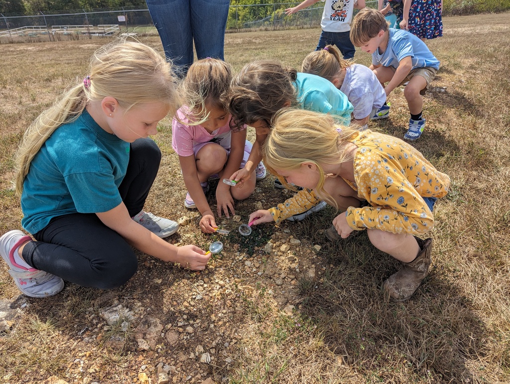Miss Amy's kindergarten class is on letter Ii in ABC bootcamp. We went on an INVESTIGATION with our scientific tools (aka magnifying glasses 🔍🔍) to discover INSECTS 🦗🦗 and other INTERESTING items on the trail. Did you know we have IGUANAS 🦎🦎 nearby?!