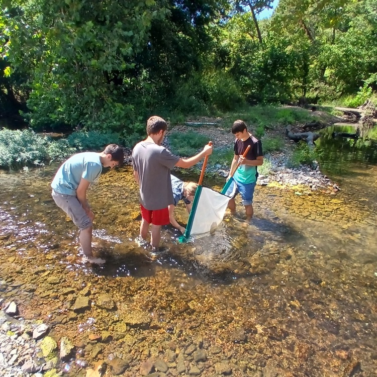 Ecology students collecting macroinvertebrates. 