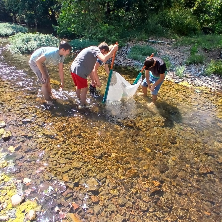 Ecology students collecting macroinvertebrates. 