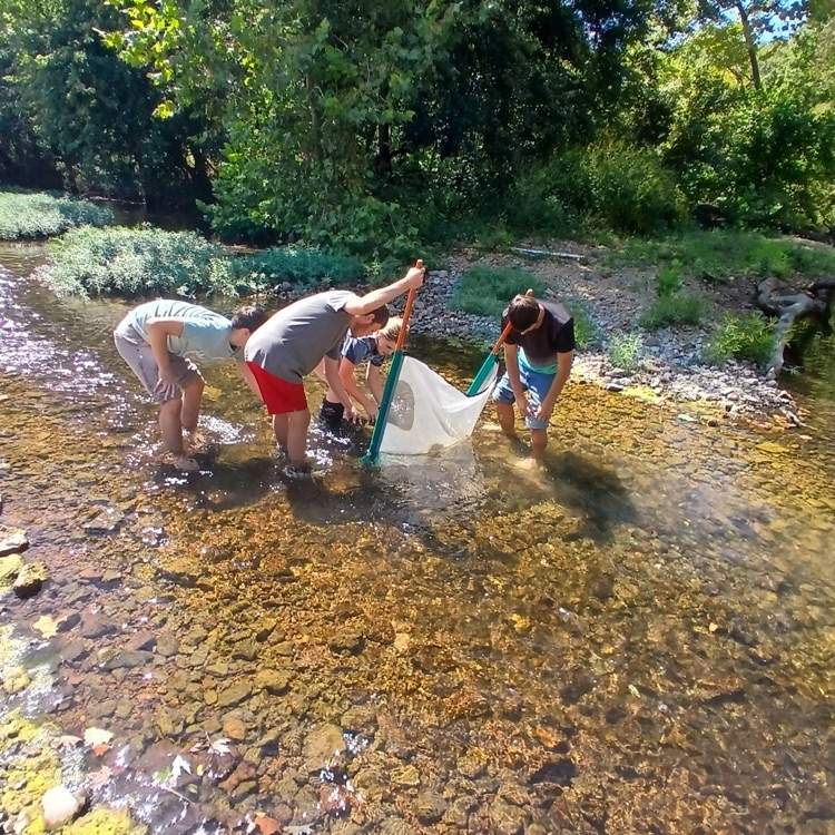 Ecology students collecting macroinvertebrates. 