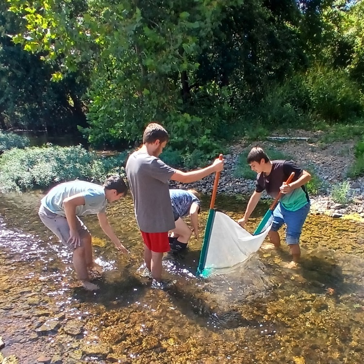 Ecology students collecting macroinvertebrates. 
