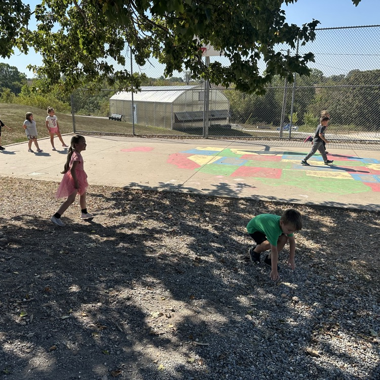 1st grade