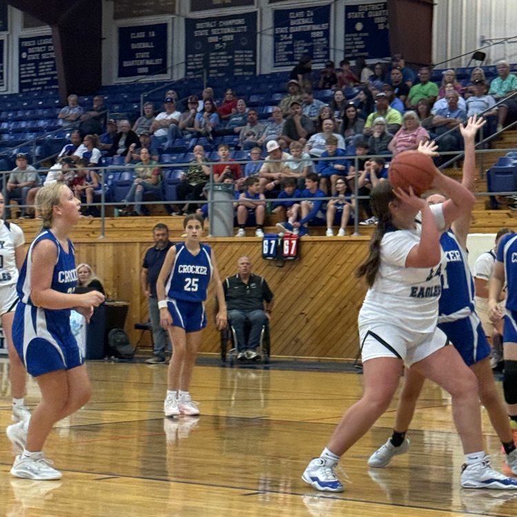 Plato MS basketball