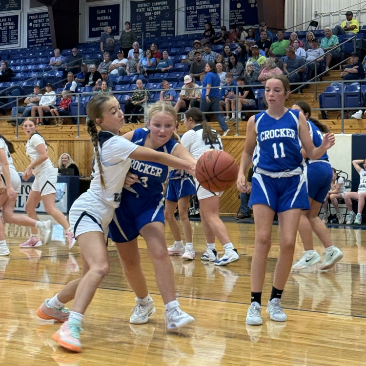 Plato MS basketball