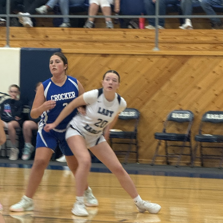 Plato MS basketball